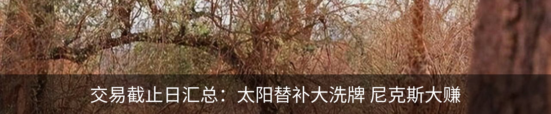 内页banner